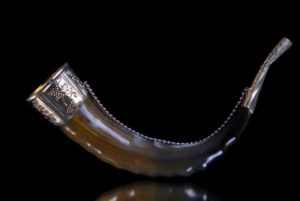 Depositphotos 65596059 S e1659414758788 anyviking.com The Viking Drinking Horn | A Symbol of Viking Culture