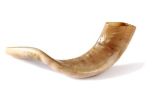 Depositphotos 76437051 S e1659414554524 anyviking.com The Viking Drinking Horn | A Symbol of Viking Culture